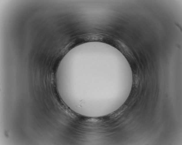 X0000098210326200804241107