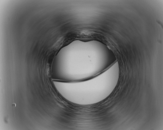 X0000098210328200804241107