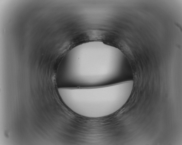 X0000098210329200804241107