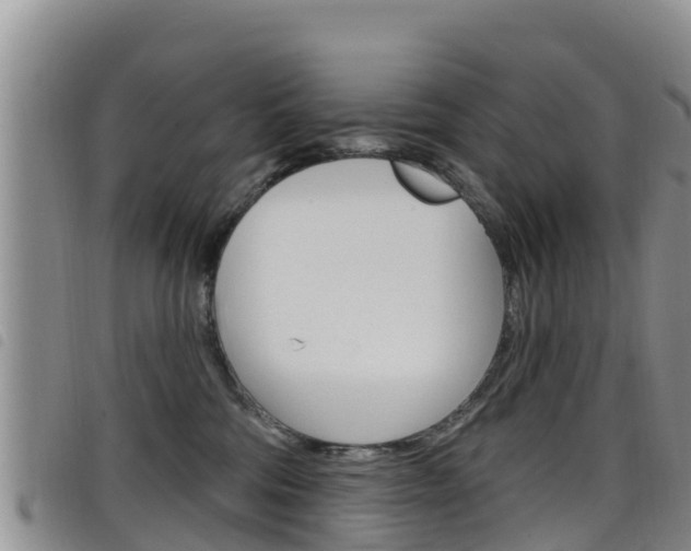 X0000098210330200804241107