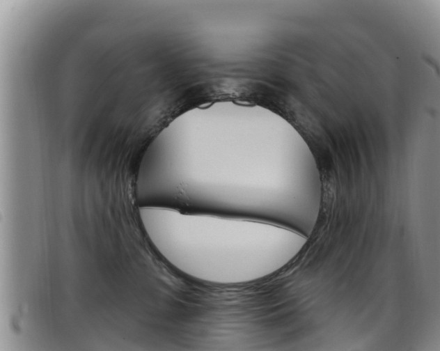 X0000098210331200804241107