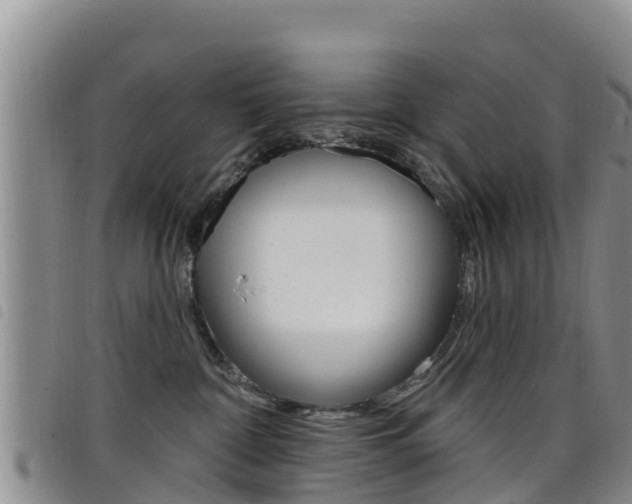 X0000098210332200804241107