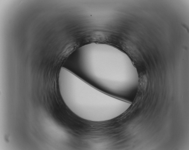 X0000098210333200804241107