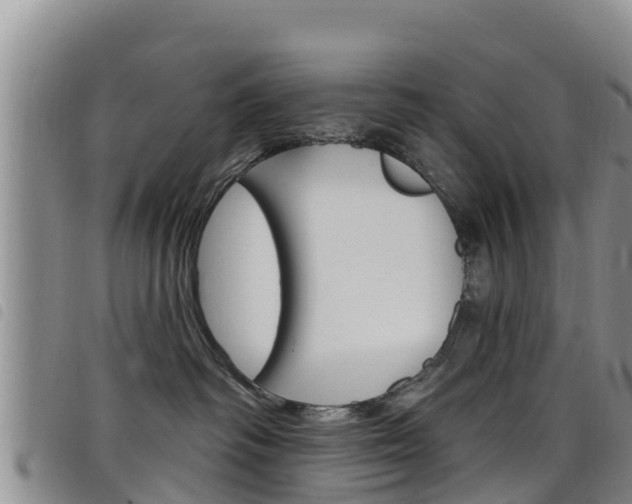X0000098210334200804241107