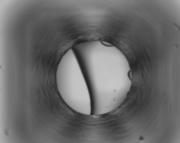 X0000098210335200804241107