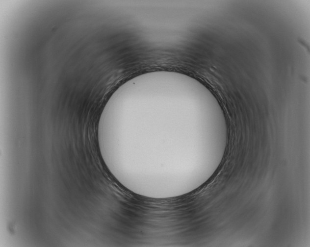 X0000098210336200804241107