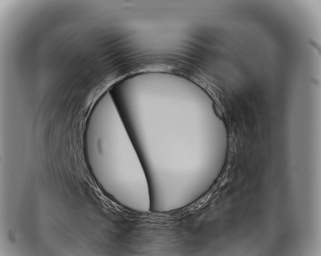 X0000098210337200804241106