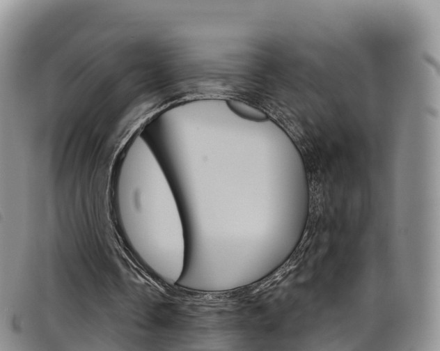 X0000098210338200804241106