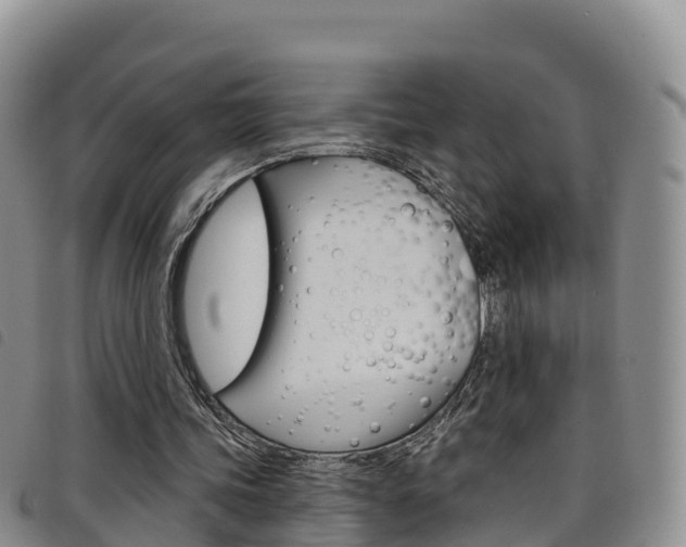 X0000098210339200804241107