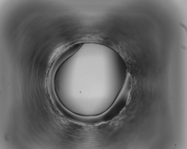 X0000098210340200804241107