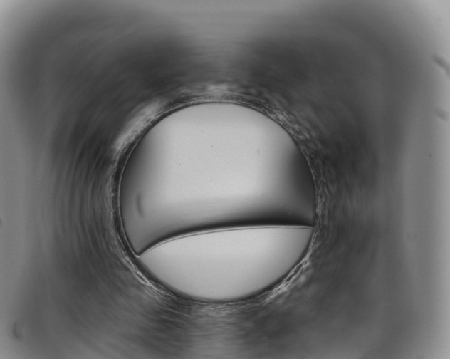 X0000098210341200804241107