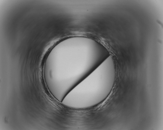X0000098210342200804241107