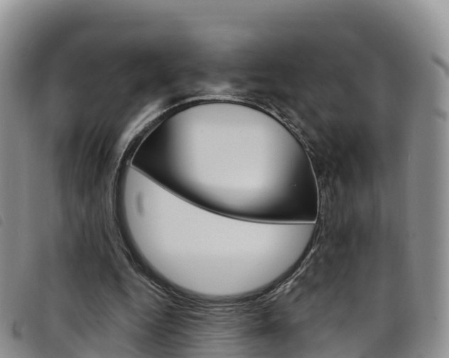 X0000098210344200804241107