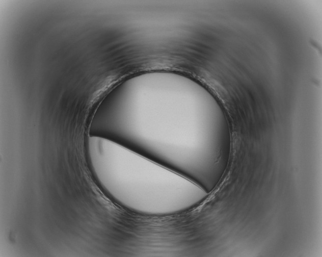 X0000098210345200804241107