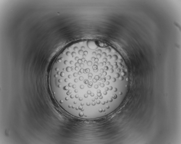 X0000098210346200804241107