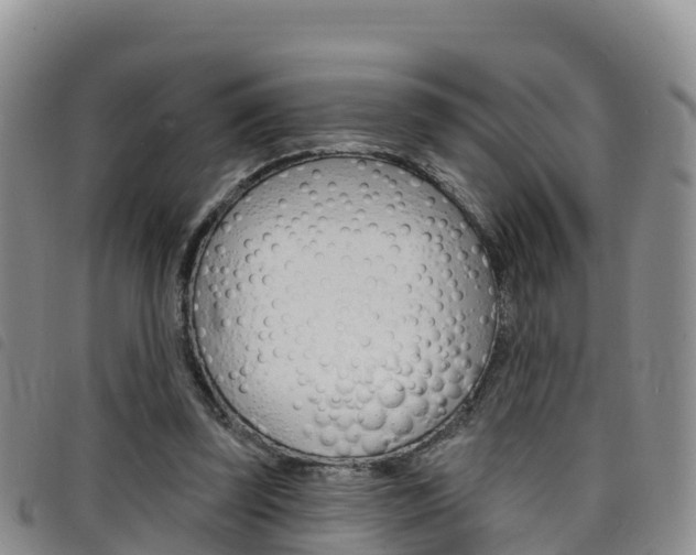 X0000098210347200804241107