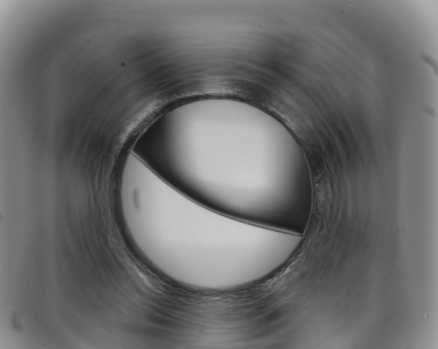 X0000098210350200804241107