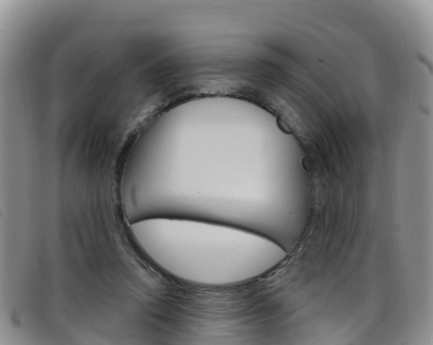 X0000098210354200804241107