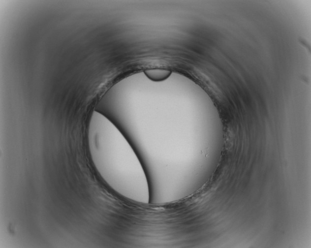 X0000098210355200804241107