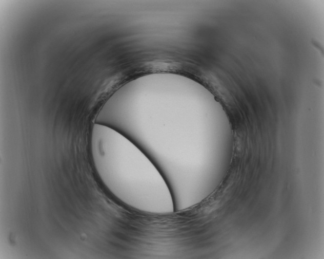 X0000098210357200804241107