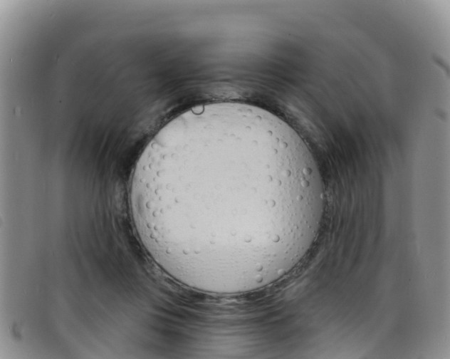 X0000098210359200804241107