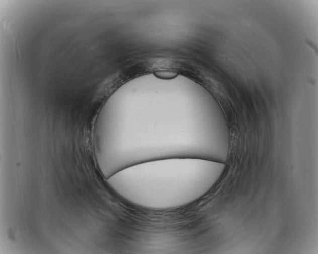 X0000098210361200804241107