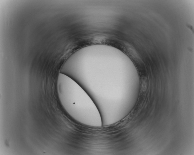 X0000098210363200804241107