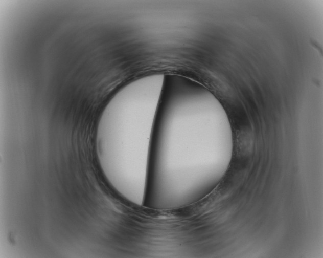 X0000098210364200804241107