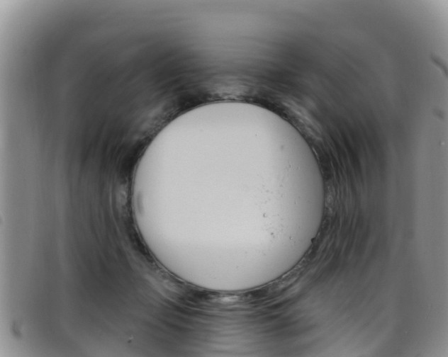 X0000098210365200804241107