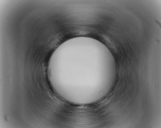 X0000098210366200804241107