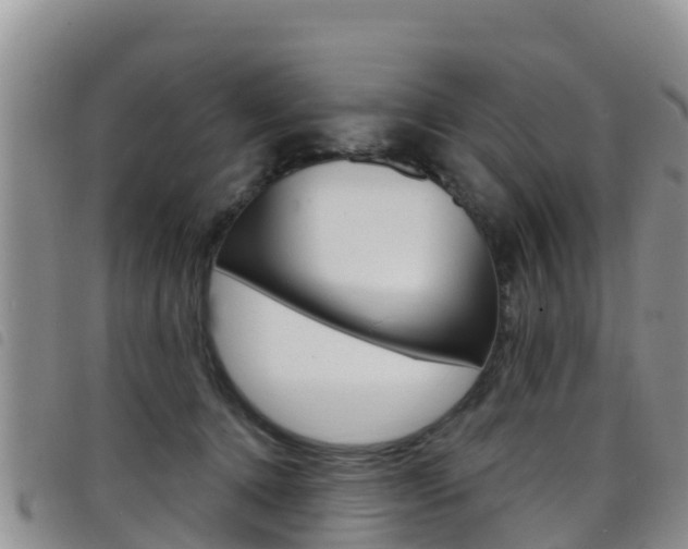 X0000098210368200804241107