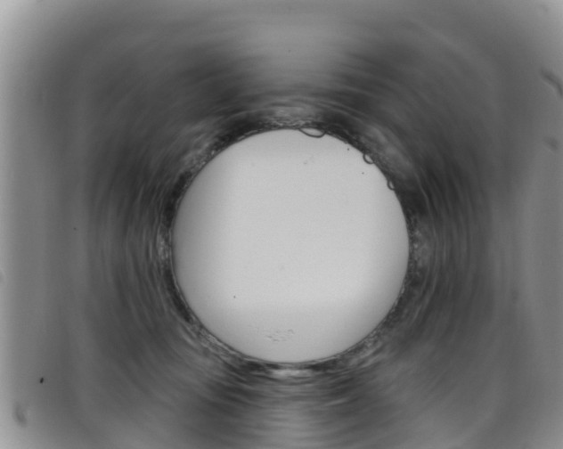 X0000098210371200804241107