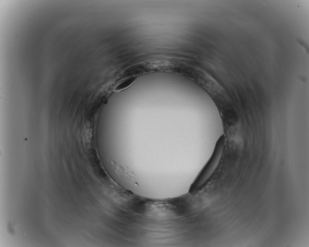 X0000098210372200804241107