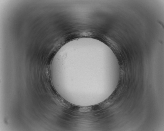 X0000098210373200804241107