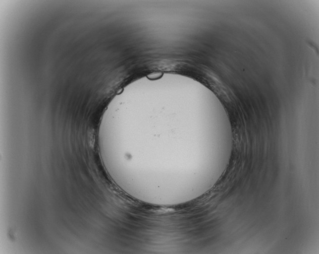 X0000098210374200804241107