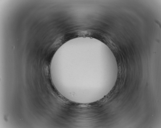 X0000098210375200804241107