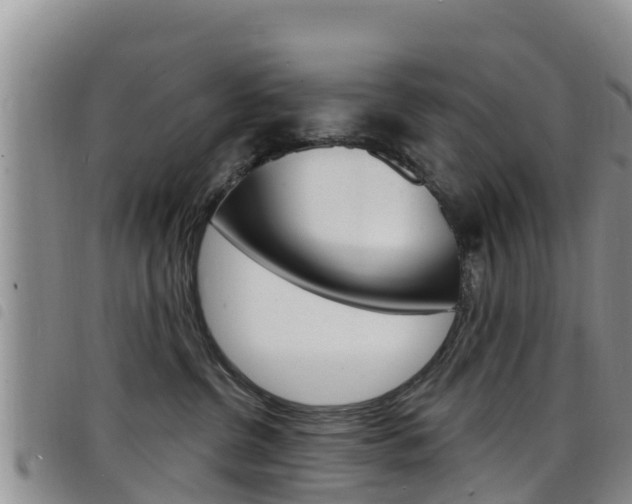 X0000098210380200804241107