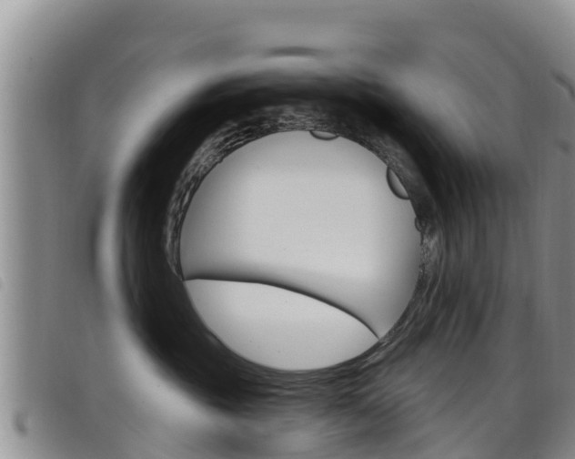 X0000098210381200804241107