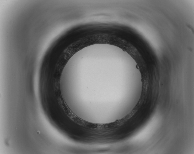 X0000098210383200804241107