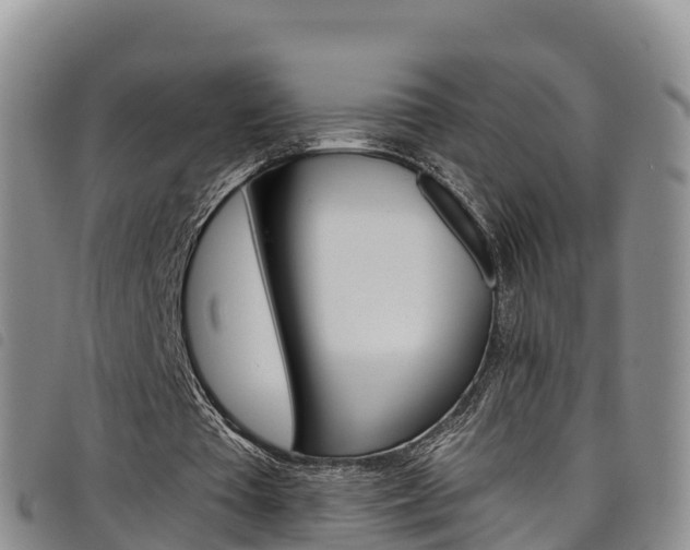 X0000098210385200804241106