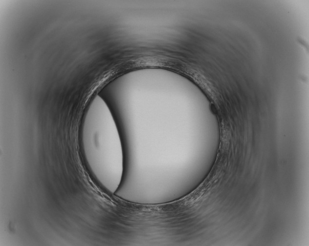 X0000098210386200804241106