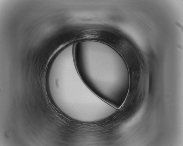 X0000098210387200804241106