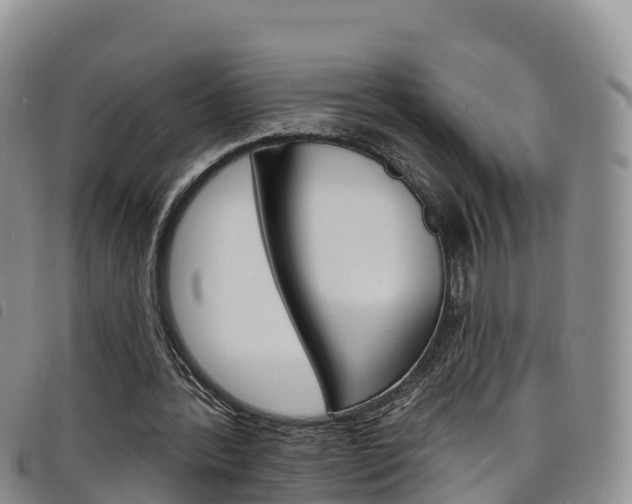 X0000098210388200804241106