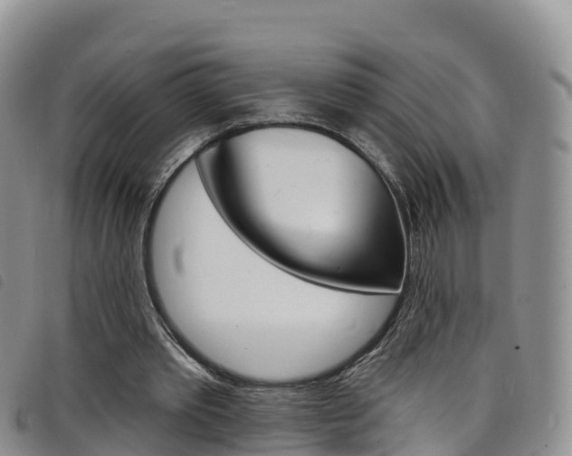 X0000098210389200804241106