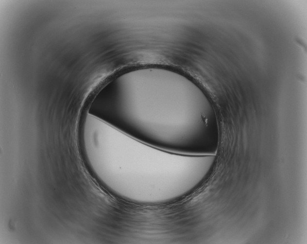 X0000098210391200804241106