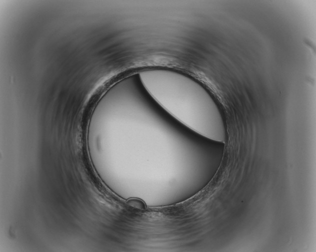 X0000098210392200804241106