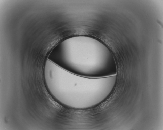 X0000098210393200804241106