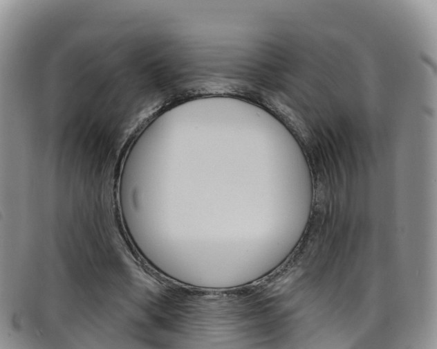 X0000098210394200804241106