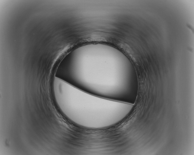 X0000098210395200804241106