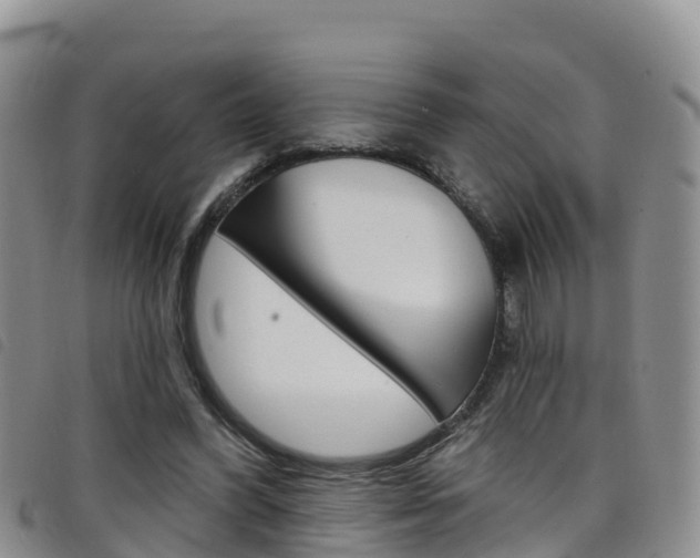 X0000098210396200804241106